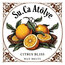 Citrus Bliss Wax Melts