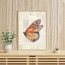 SUNFLOWER & BUTTERFLY 2'li Poster #0057