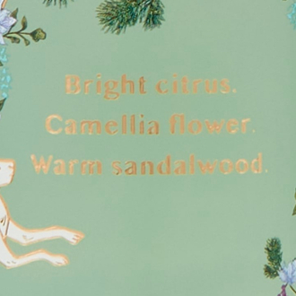 VS Wonderland Woods Vücut Spreyi