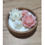 Succulent