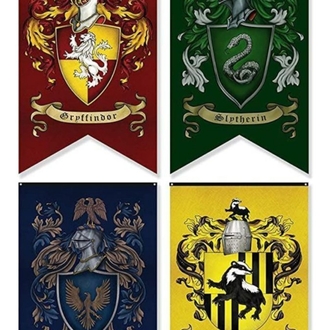 Harry potter bina mumu