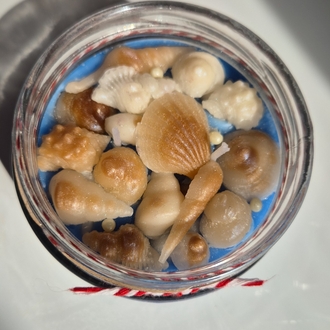 Under the sea