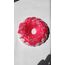 Funny cake