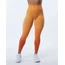 Alphalete Büzgülü Tayt Ombre
