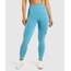Gymshark Flex Tayt