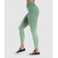 Gymshark ombre tayt