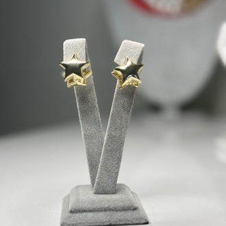 Tabir Yıldız Gold Küpe