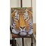 kaplan 50x70