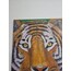 kaplan 50x70