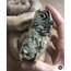 %100 Karabuğday Ispanaklı Börek