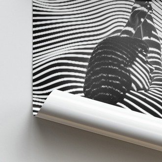 Zebra Efektli Kadın Posteri