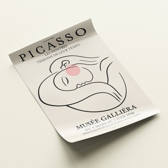 Picasso Musee Galliera Poster