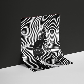 Zebra Efektli Kadın Posteri