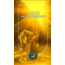 5 SORU Tarot Danışmanlığı