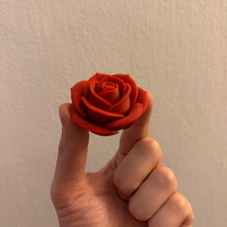 2'li Minimalist 3D Dekoratif Gül Seti