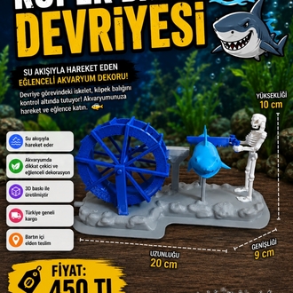 Köpek Balığı Devriyesi 