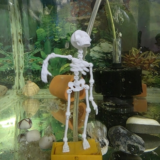 Dansçı İskelet 