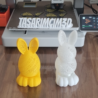 Işıklı tavşanlar 
