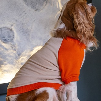   Ekinoks Vizon-Turuncu Sweatshirt