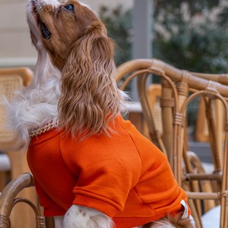 Hakuna Matata Turuncu Sweatshirt