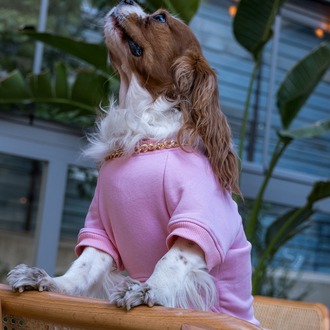 Vera Pembe Sweatshirt