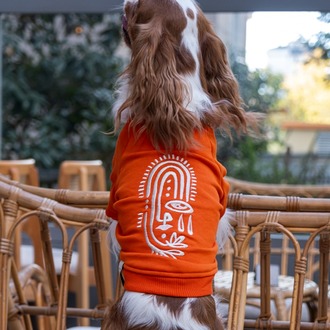     Vera Turuncu Sweatshirt