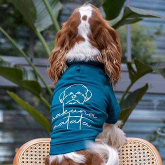 Hakuna Matata Petrol Sweatshirt