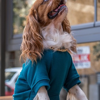 Hakuna Matata Petrol Sweatshirt