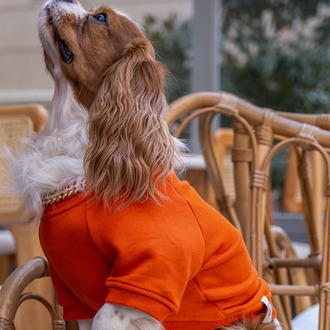     Vera Turuncu Sweatshirt
