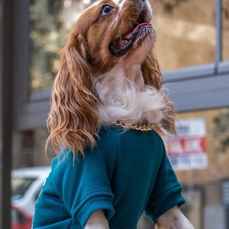 Vera Petrol Sweatshirt