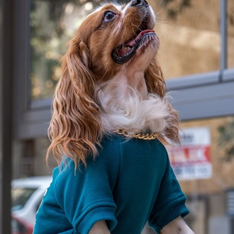 Girift Petrol Sweatshirt