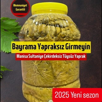 Manisa Sultaniye cinsi üzüm yaprağı