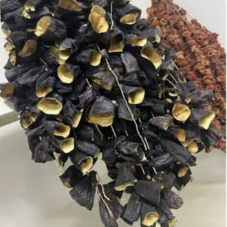 Kuru Patlıcan, (45-50 adet)