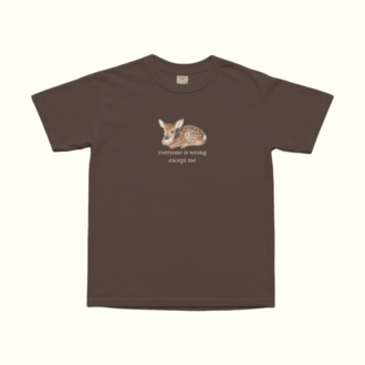 Everyone Is Wrong Except Me T-Shirt