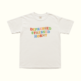 Depressed Stressed Horny T-Shirt