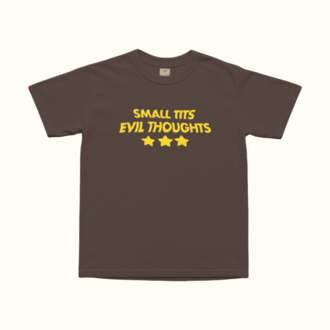 Small Tits Evil Thoughts T-Shirt