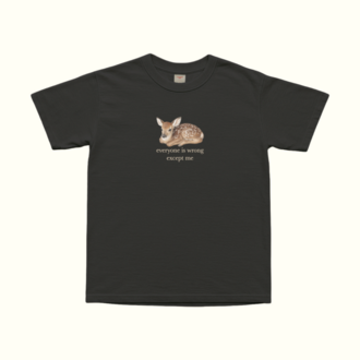 Everyone Is Wrong Except Me T-Shirt