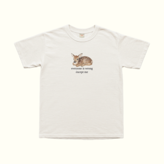 Everyone Is Wrong Except Me T-Shirt