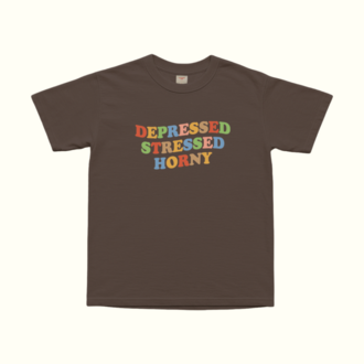 Depressed Stressed Horny T-Shirt