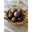 Ön Sipariş / 15 Adet Çarkıfelek / Passiflora Meyvesi