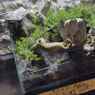 Ardıç temalı şelale paludarium