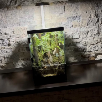 Orman temalı,şelale paludarium