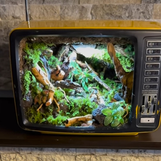 Retro Tv. 1975 model antika televizyon içerisine yapılmış teraryum.