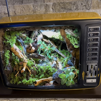 Retro Tv. 1975 model antika televizyon içerisine yapılmış teraryum.