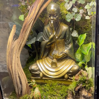 Buddha temalı teraryum