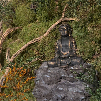 Buddha Table