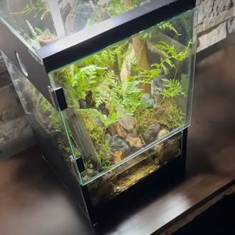 Orman temalı,şelale paludarium