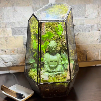 Geometrik buddha 3 teraryum