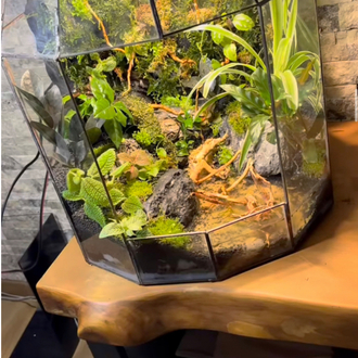 Premium paludarium