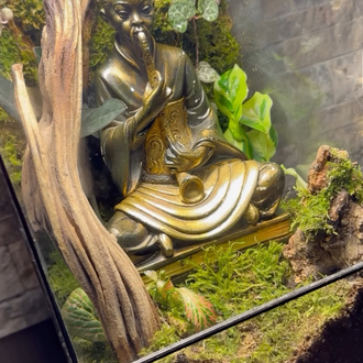 Buddha temalı teraryum